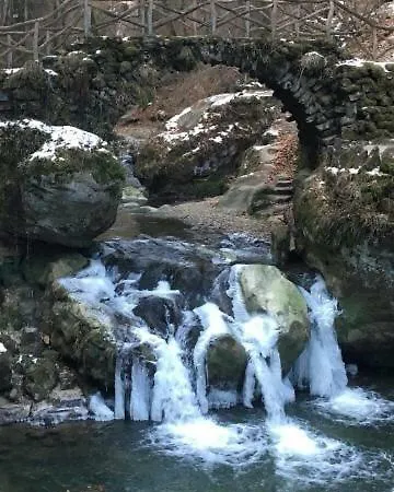 Appartement Les Pantoufles Dans Le Pre