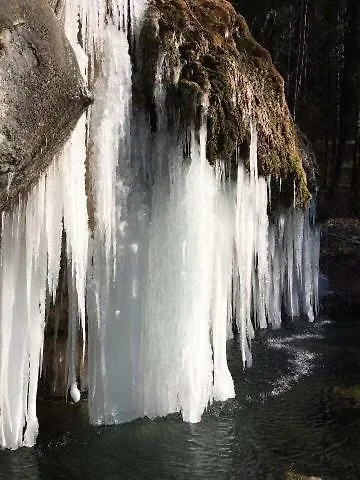Les Pantoufles Dans Le Pre Eppeldorf