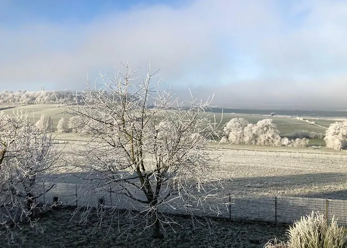 Les Pantoufles Dans Le Pre