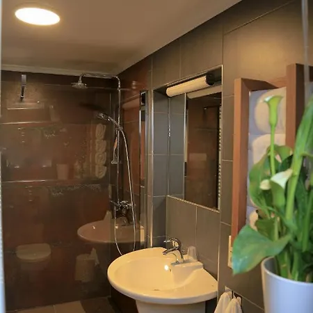 Les Pantoufles Dans Le Pre Appartement