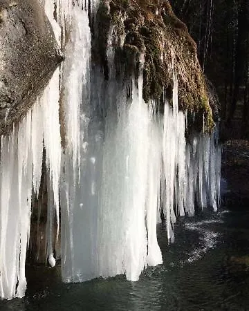 Les Pantoufles Dans Le Pre Eppeldorf