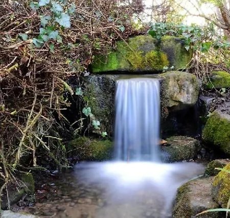 Appartement Les Pantoufles Dans Le Pre