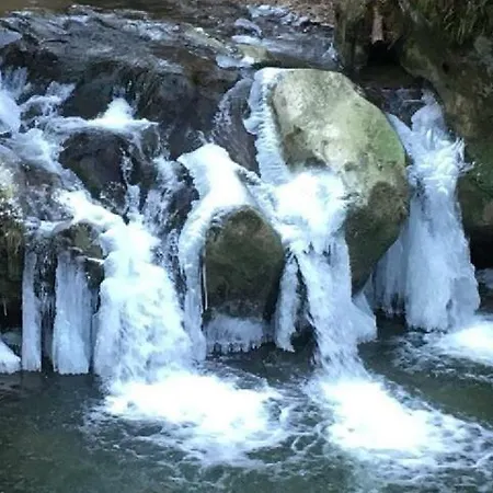 Les Pantoufles Dans Le Pre Appartement