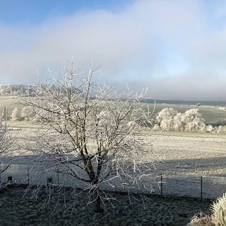 Les Pantoufles Dans Le Pre