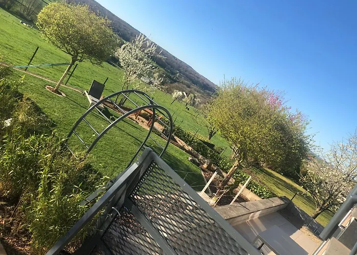 Les Pantoufles Dans Le Pré *