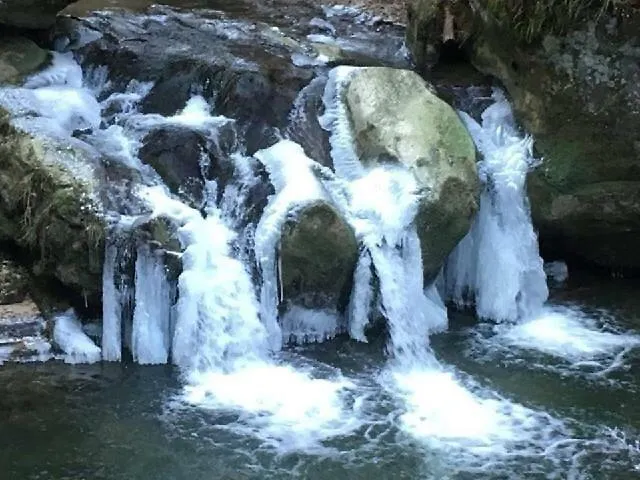 Les Pantoufles Dans Le Pré Appartamento